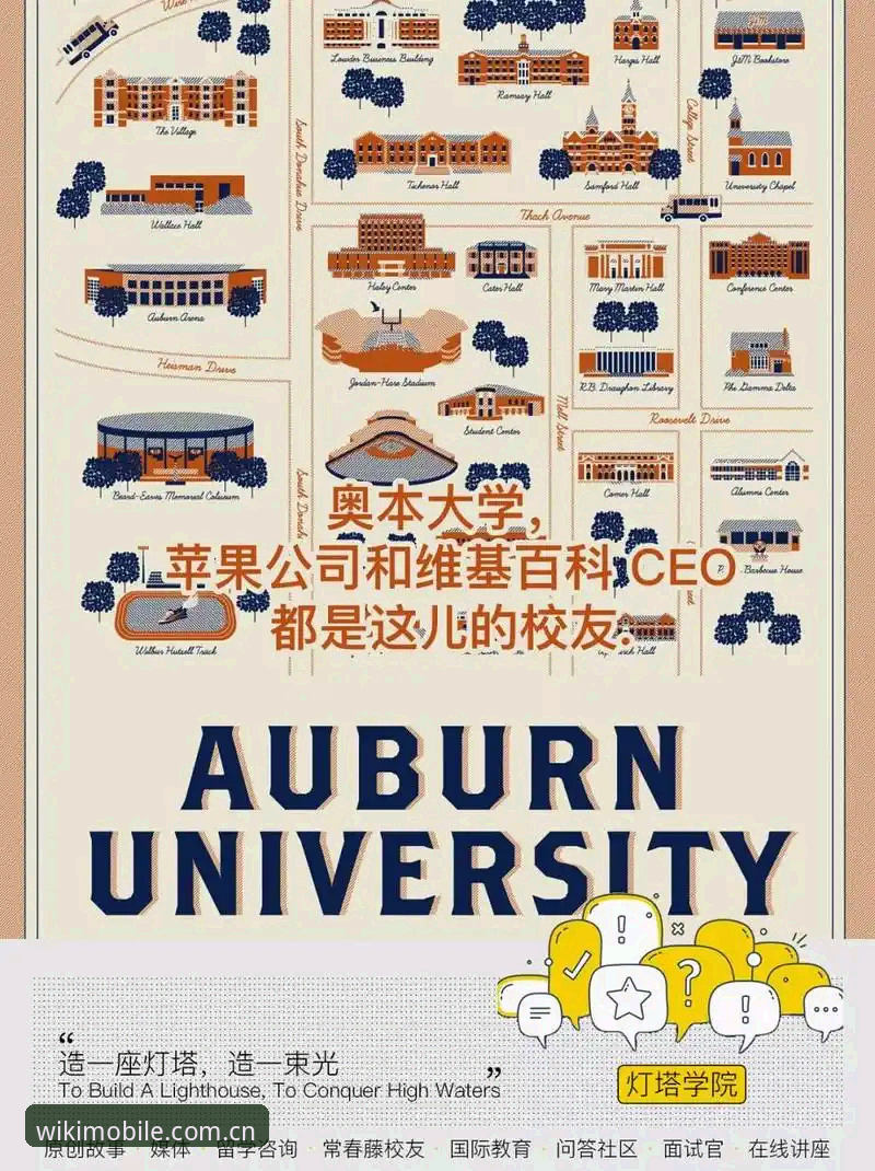 维基体育首页iOS版 维基体育首页iOS版体验如何?官方地址与创新功能深度解析